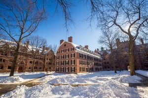 Universities often have a surprisingly large fleet of vehicles just for security and maintenance around the campus.